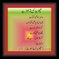 Sana-u-Allah shah 01 * 30.05.2007 * 337 x 470 * (22KB)